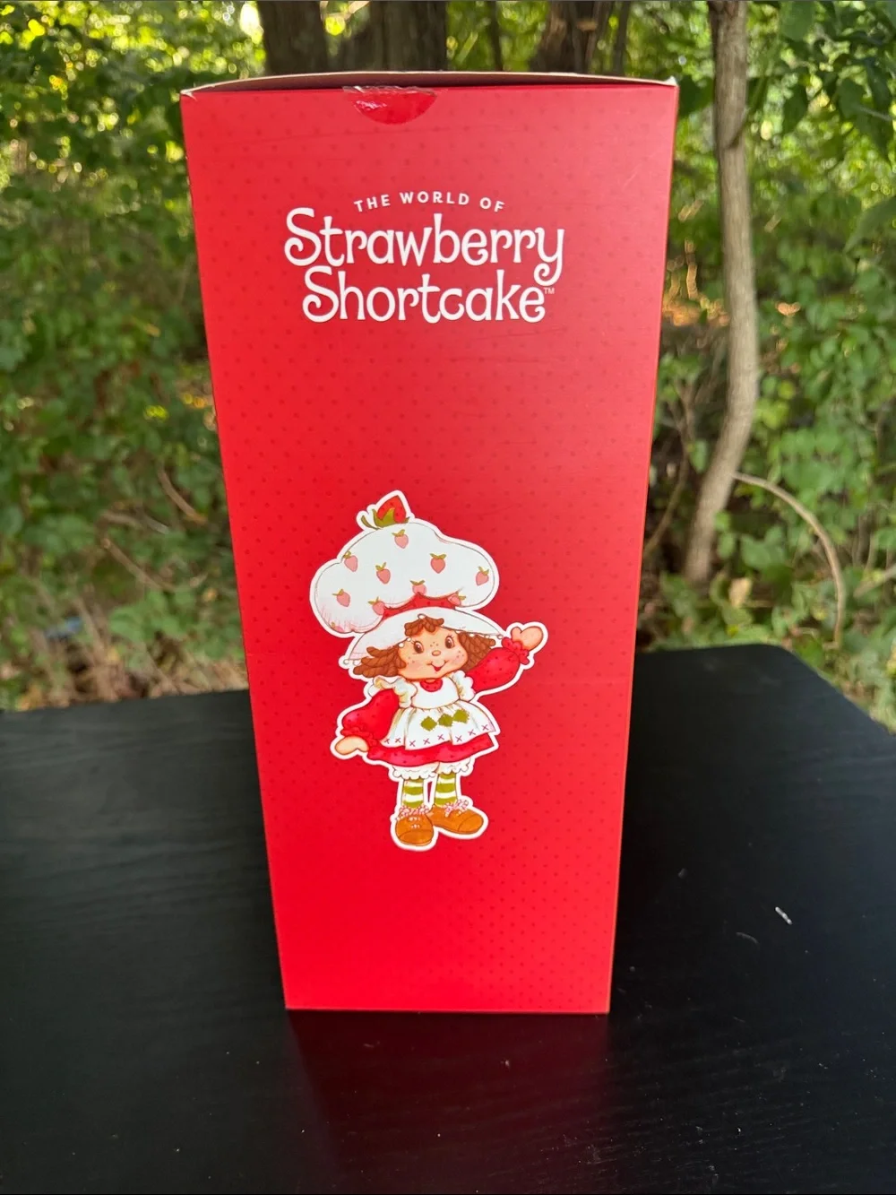 Strawberry Shortcake Red Hair Doll - Classic Kids Plush